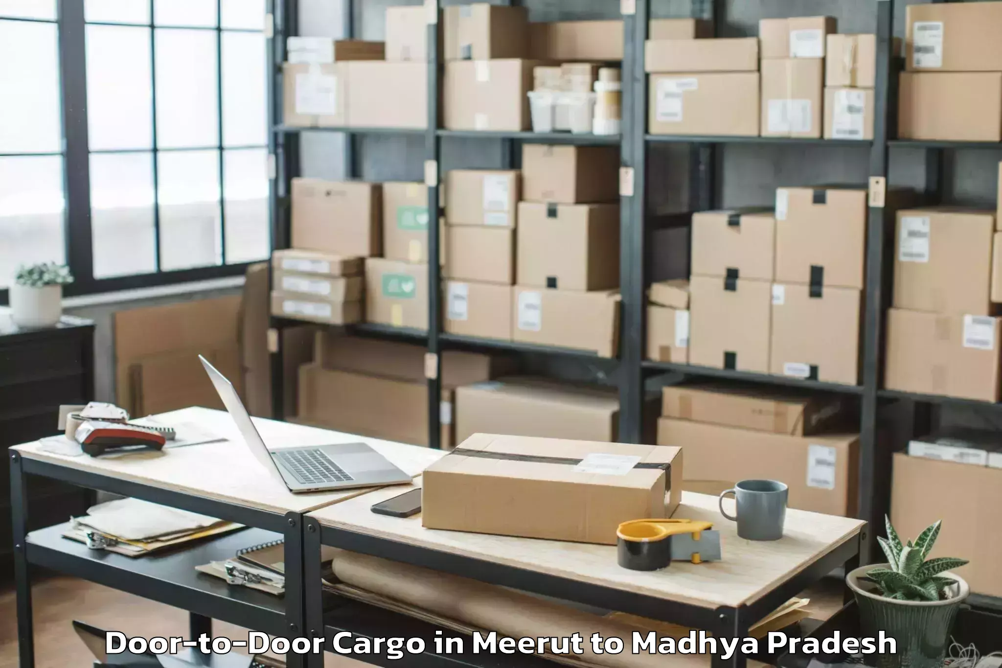 Book Meerut to Manpur Door To Door Cargo